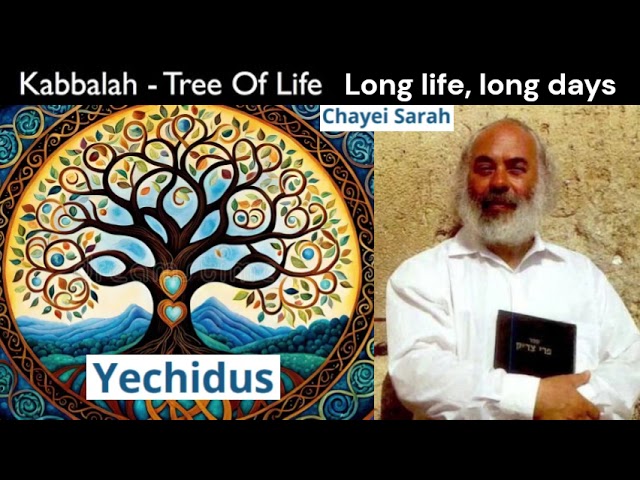 Shlomo Carlebach - Kabbalah / Yechidus - Sarah Long life long days - Tree of life