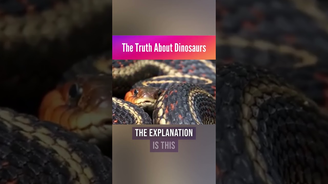The Truth About Dinosaurs | Rabbi Zamir Cohen