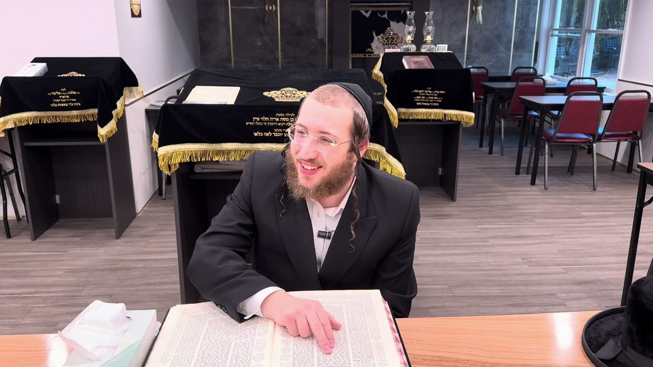 Harav Mordechai Feldman Daf Yomi Bava Kama 33