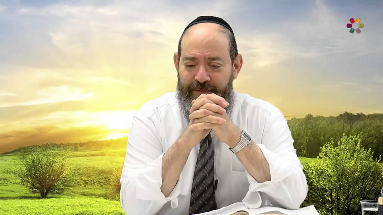 Rabbi David Kaplan - Weekly Torah Portion: Vayeira - Part 2