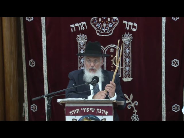 New Shatnez Alerts In Local Stores & Online - Rabbi Yosef Sayagh Shlita
