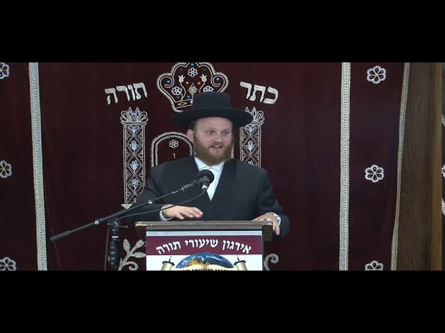 Alternative Cooking Methods On Shabbos & YT (Solar,Microwave& Inductive Ovens) - R' Benzion Gips