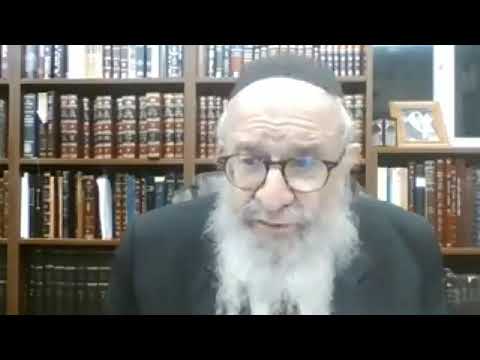 Likkutei Sichos Vol 10 Vayeshev 2   Rabbi Leibel Schapiro, 5781