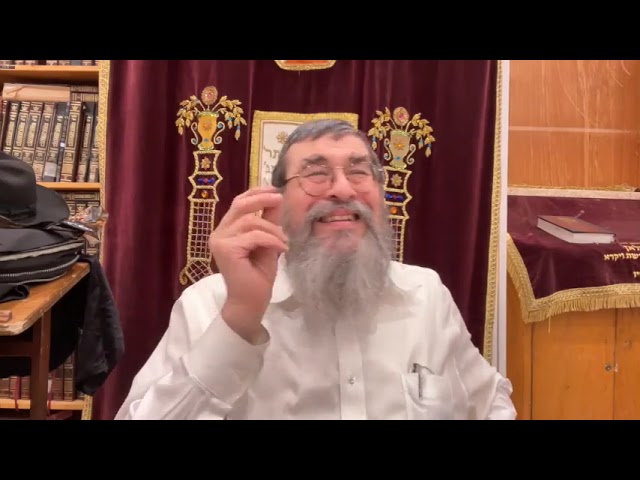 Torah insights Parshas Tazria words Baheres, Se'ais, Sapachas, Rabbi Yossi Paltiel, 5783