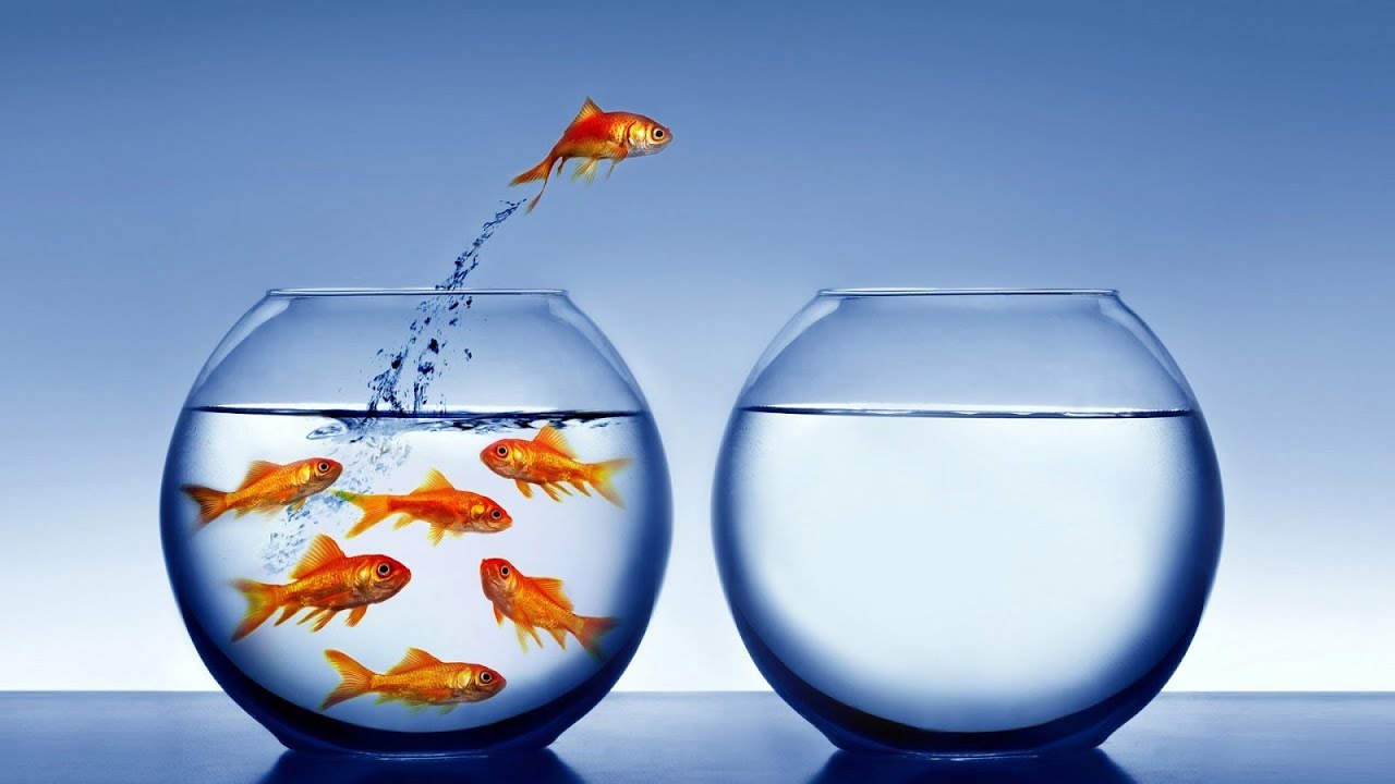 Is Your Free Choice Really Free - MUSSAR Pirkei Avot (51)