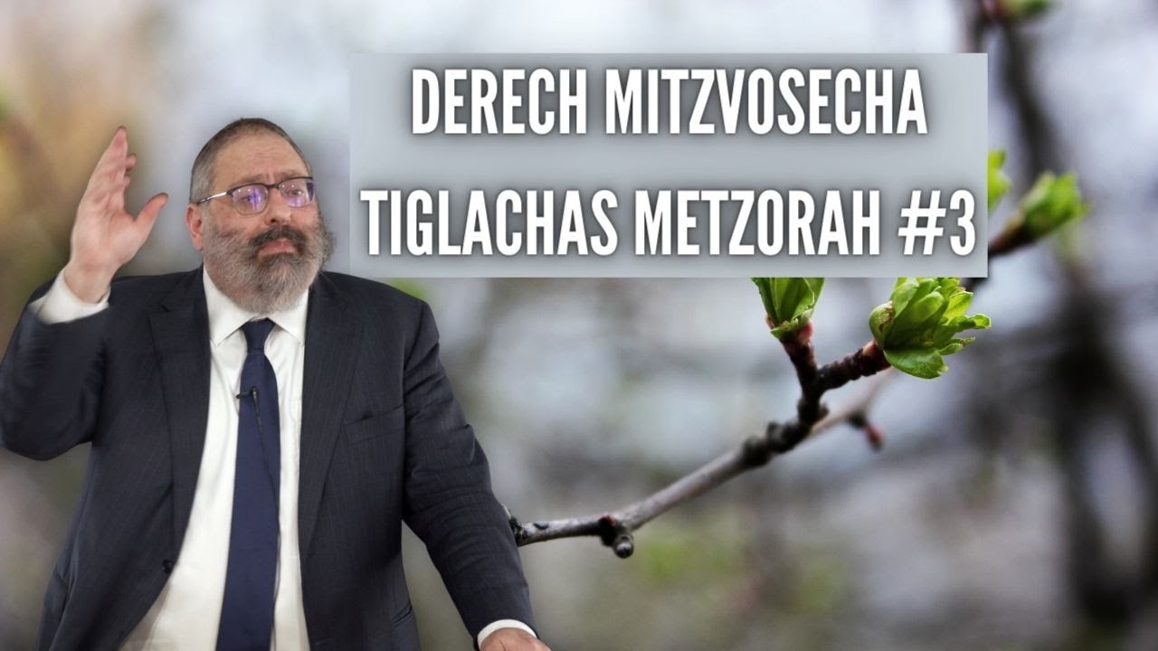 A Parable About Parables | Derech Mitzvosecha Tiglachas Metzora #3