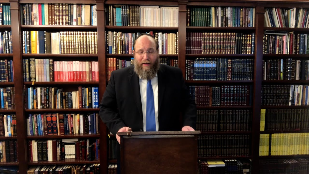 Mind Flex Rabbi Shippel