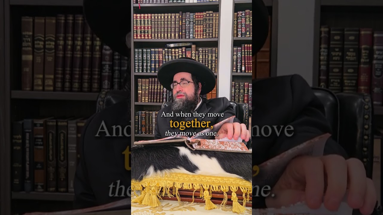 Marriage Is Not About Compatibility  #MarriageWisdom #JewishThought #Relationships #LoveAndM #shorts