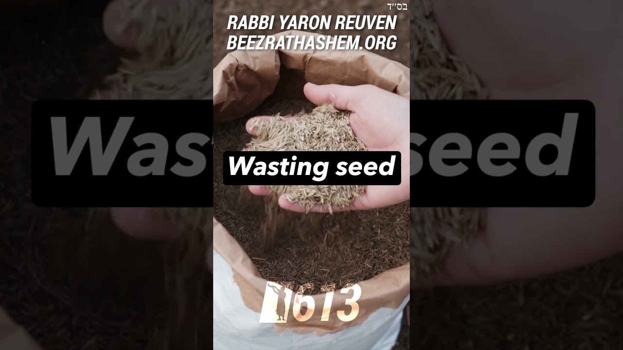 Don't Follow Your Eyes Parashat Shlach #Torah #RabbiYaronReuven #jewishculture  #torahportion #KIRUV