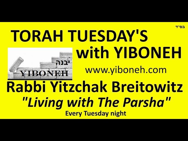 Rabbi Yitzchak Breitowitz: Alone in the Middle of the Night