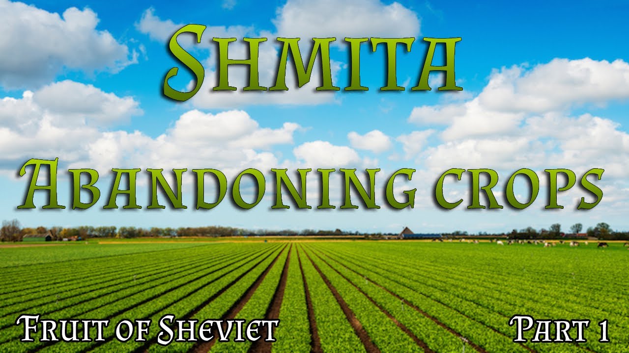 Shmita | Fruit & Vegetables of Sheviet - Abandoning crops