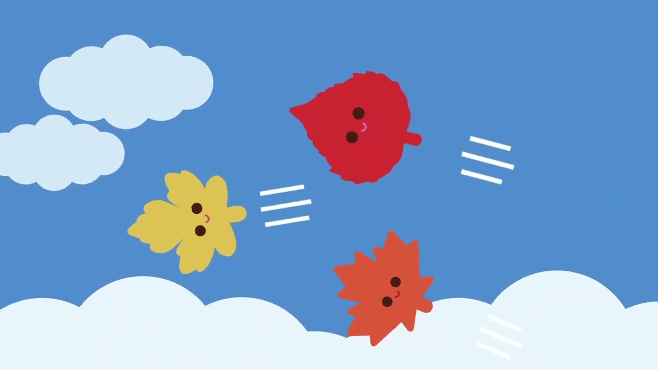 Learn About A Leaf's Journey with Morah Music | Kids Videos | Preschool Learning Videos | Toddler
