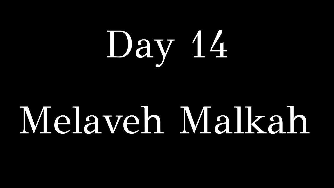 Day 14 - Melaveh Malkah (4th meal)