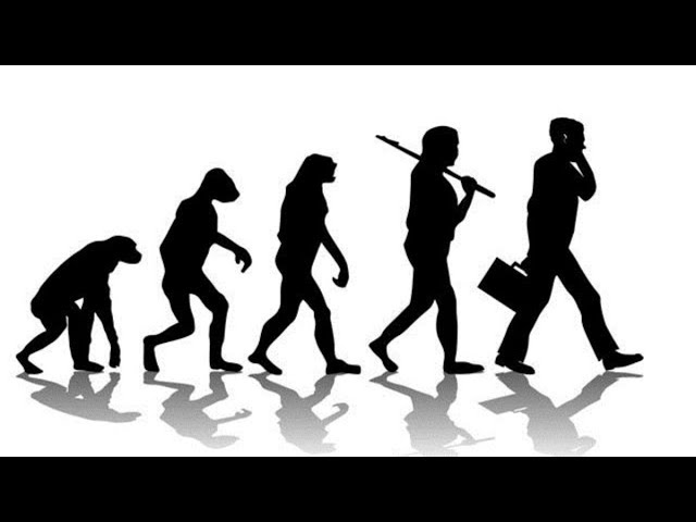 Four Causes for a Destructive Life: I Am an Animal; I Am Worthless;  Am Superior; I Lose It
