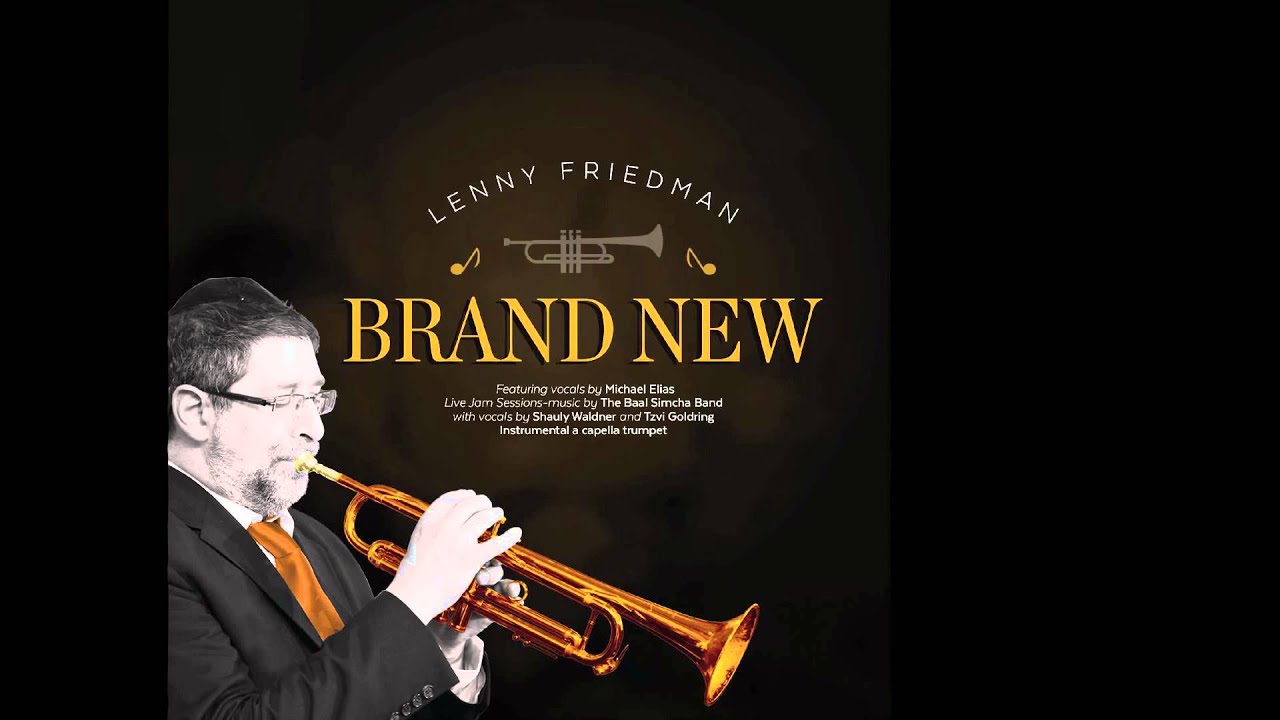 Michoel Puzansky - Celebrity Review - "Lenny Friedman: Brand New"