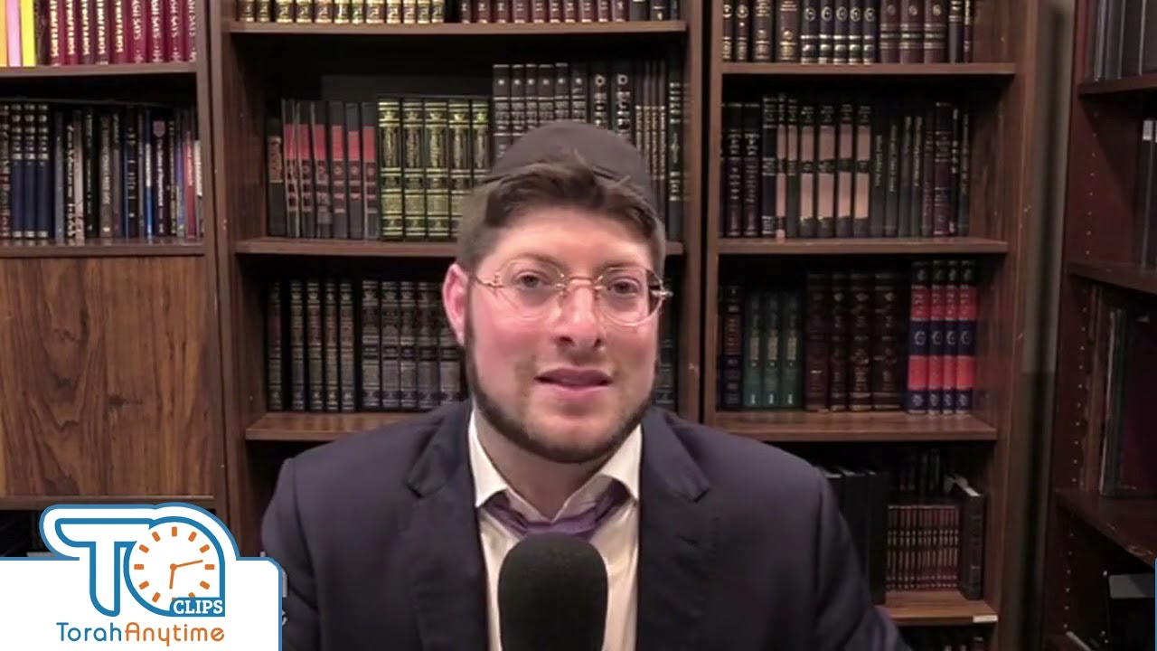 Malachim On Shabbat - R. Meir Simcha Sperling - TorahAnytime.com