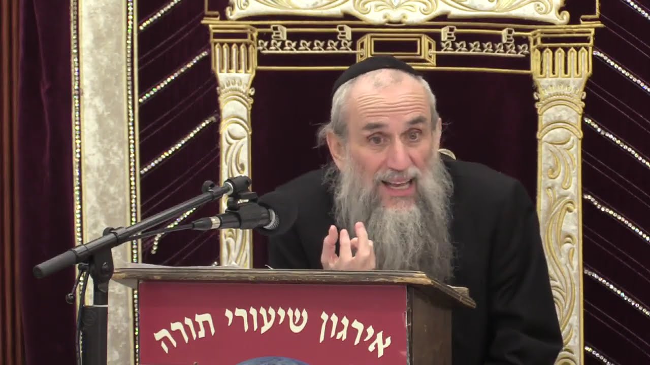 Usable Items That Are Muktza - Rabbi Yakov Zev Smith
