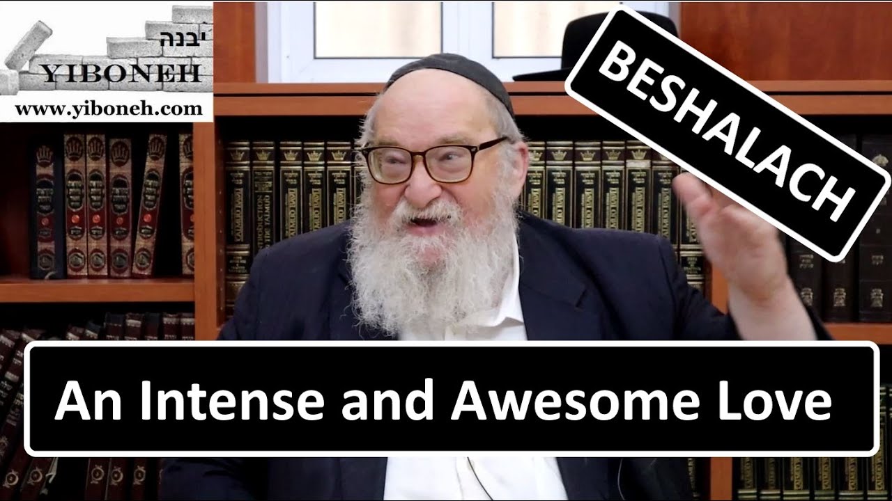Rav Yitzchak Breitowitz: An Intense and Awesome Love
