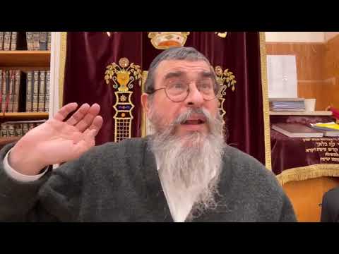 Yisaschar Compared to a donkey; carries the load of Torah and is uplifted greatly, Rabbi Paltiel