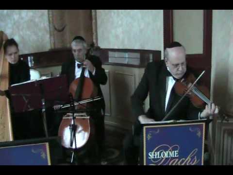 Harp, Violin And Chello At A Chasuna