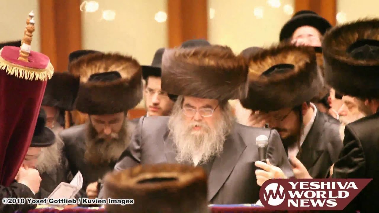Hachnosas Sefer Torah at Belz