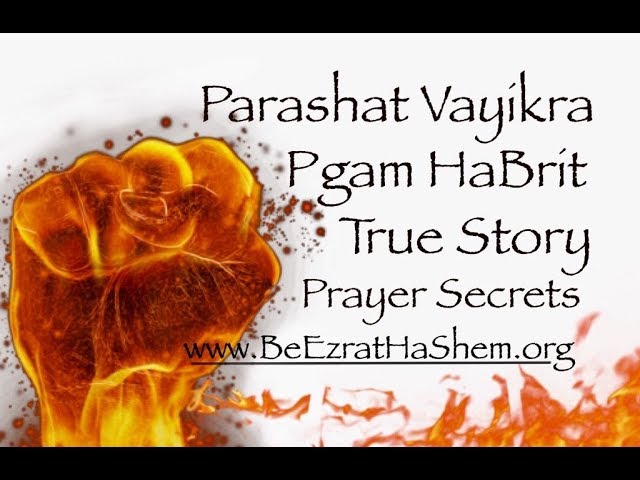 Parashat Vayikra: Pgam Habrit (Wasting Seed) THE TRUE STORY