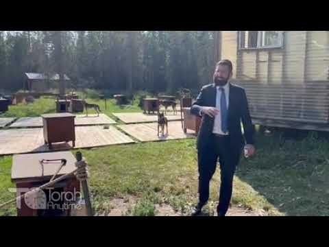 Alaska Adventure: Squid Acres Kennel - The Silence of the Dogs and Stealing the Afikoman