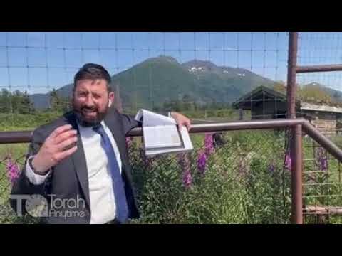 Journey to Alaska: Wildlife Conservation Center - Tosfos in Avoda Zara and the Bear