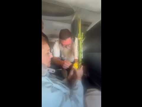 Miracle Midair: Lulav on American airlines midair, Oct 22, 2024 - Rabbi Chaim Dalfin