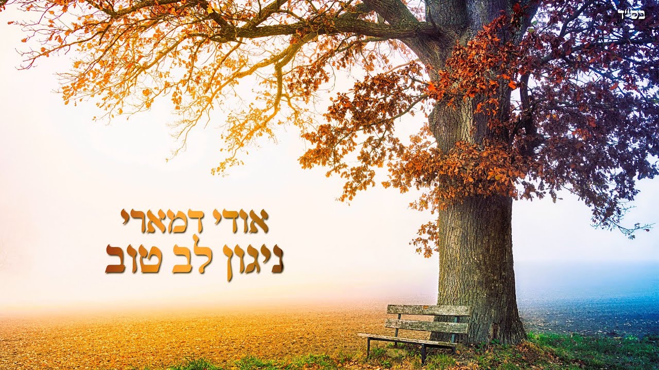 אודי דמארי - ניגון לב טוב (music prod. by udi damari)
