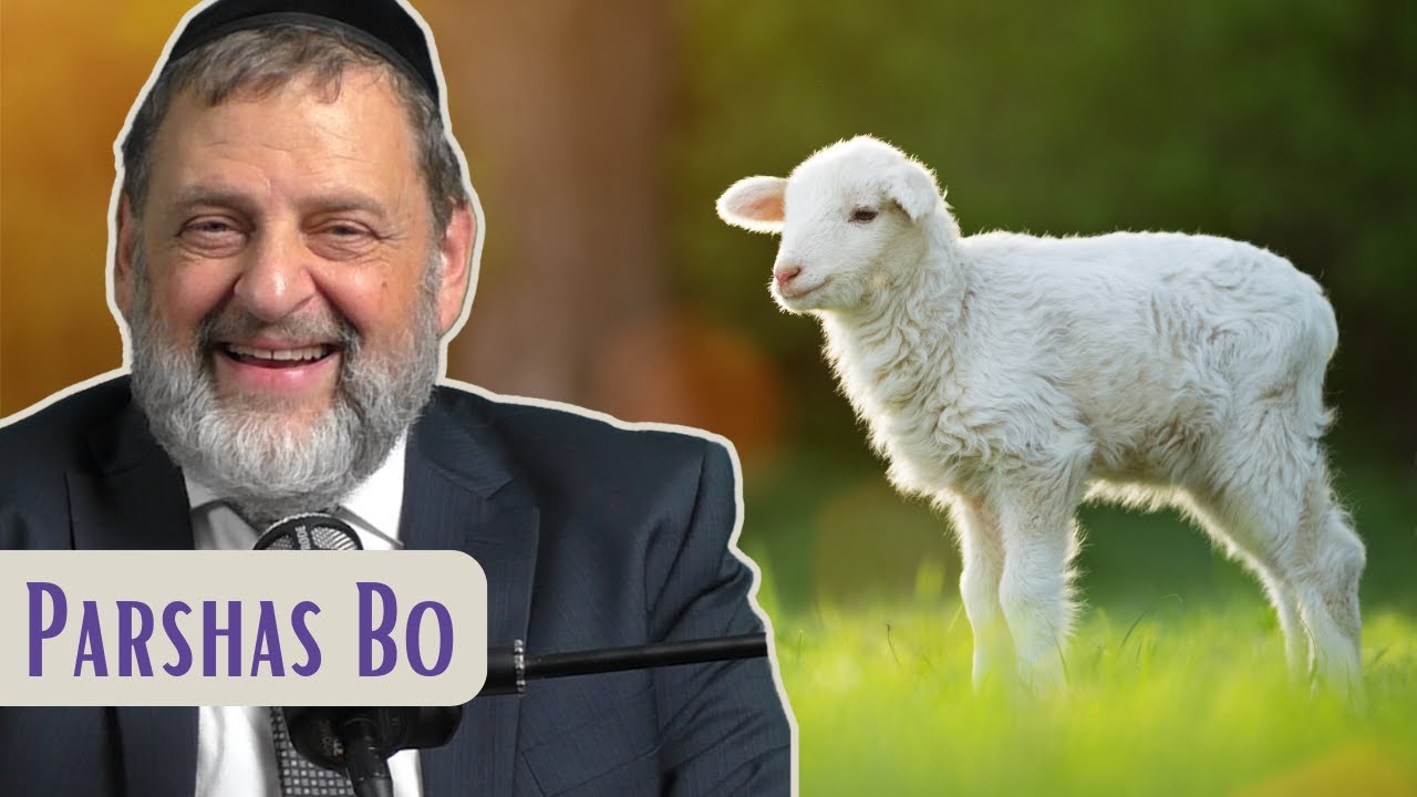 Bo - Slaughter The Idols | Rabbi Dovid Orlofsky