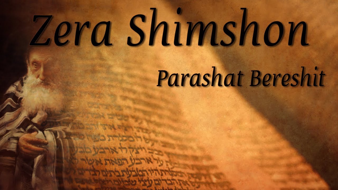 Zera Shimshon | Parashat Bereshit - 'Judge with mercy' - Rabbi Alon Anava