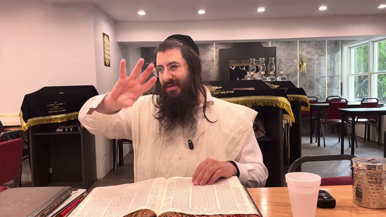 Bava Metziah 100 Harav Chaim Ozer Geldzahler