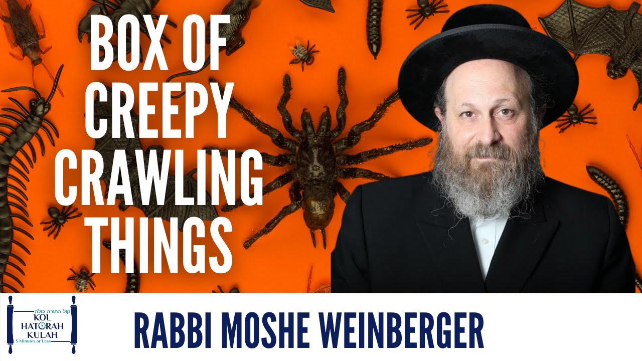Box Of Creepy Crawling Things- Rabbi Moshe Weinberger