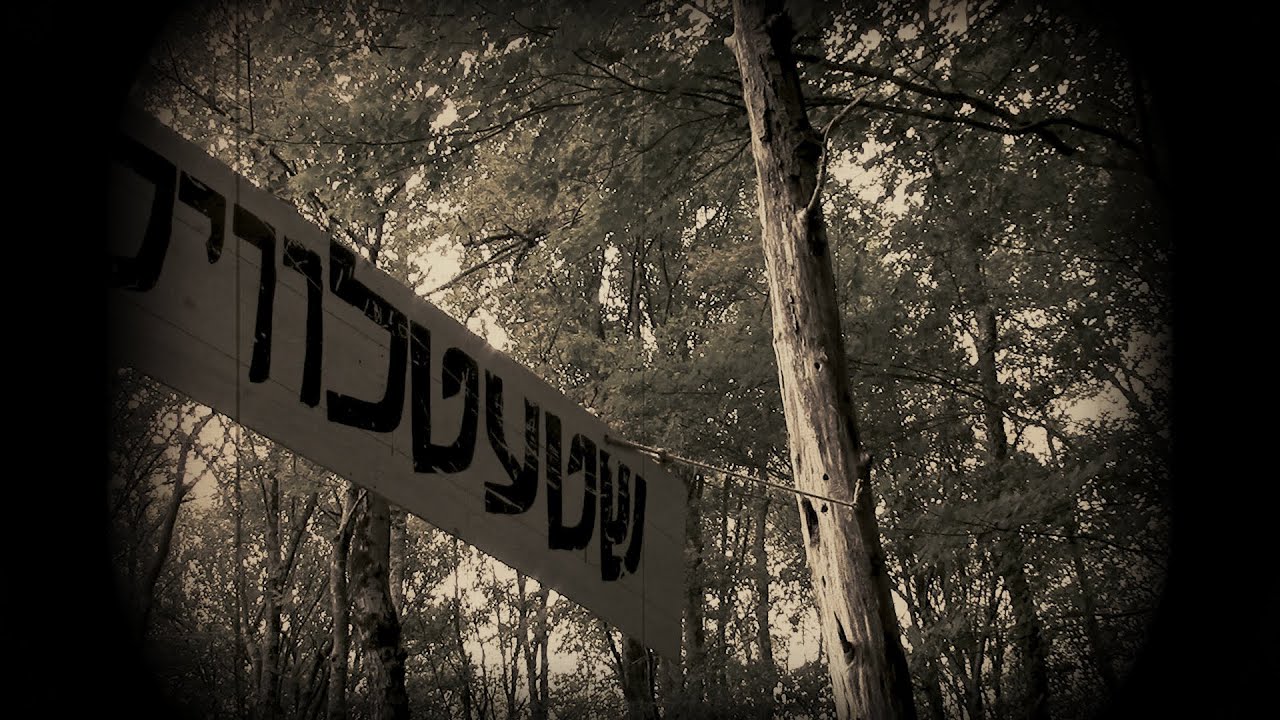 Camp Yeshiva Shtetilville 5779