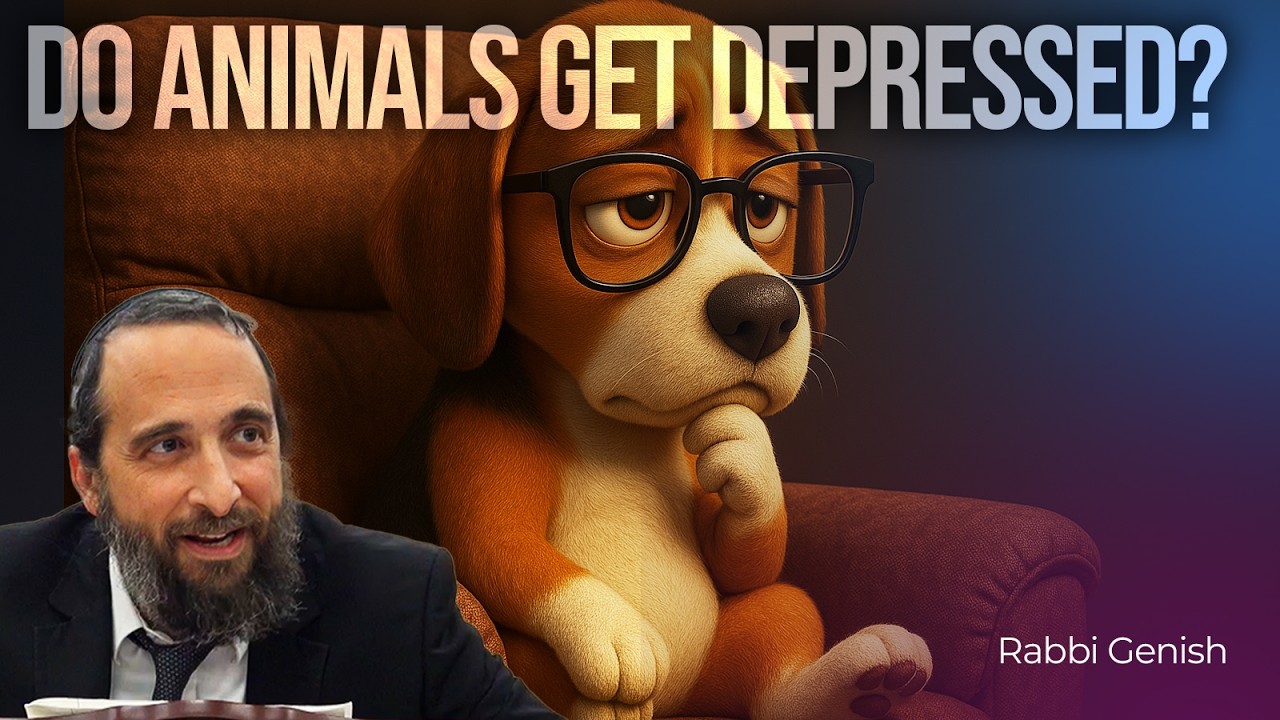 Humans get depressed, and animals don't!