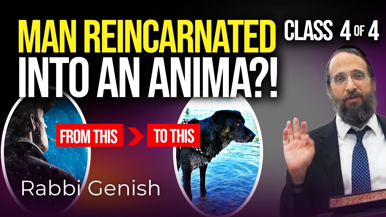 Reincarnations: From Man To Animal!? (4 of 4)