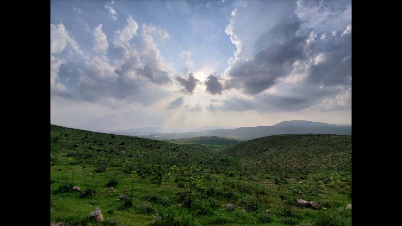Yishai Fleisher Show: The How Did We Get Here Edition