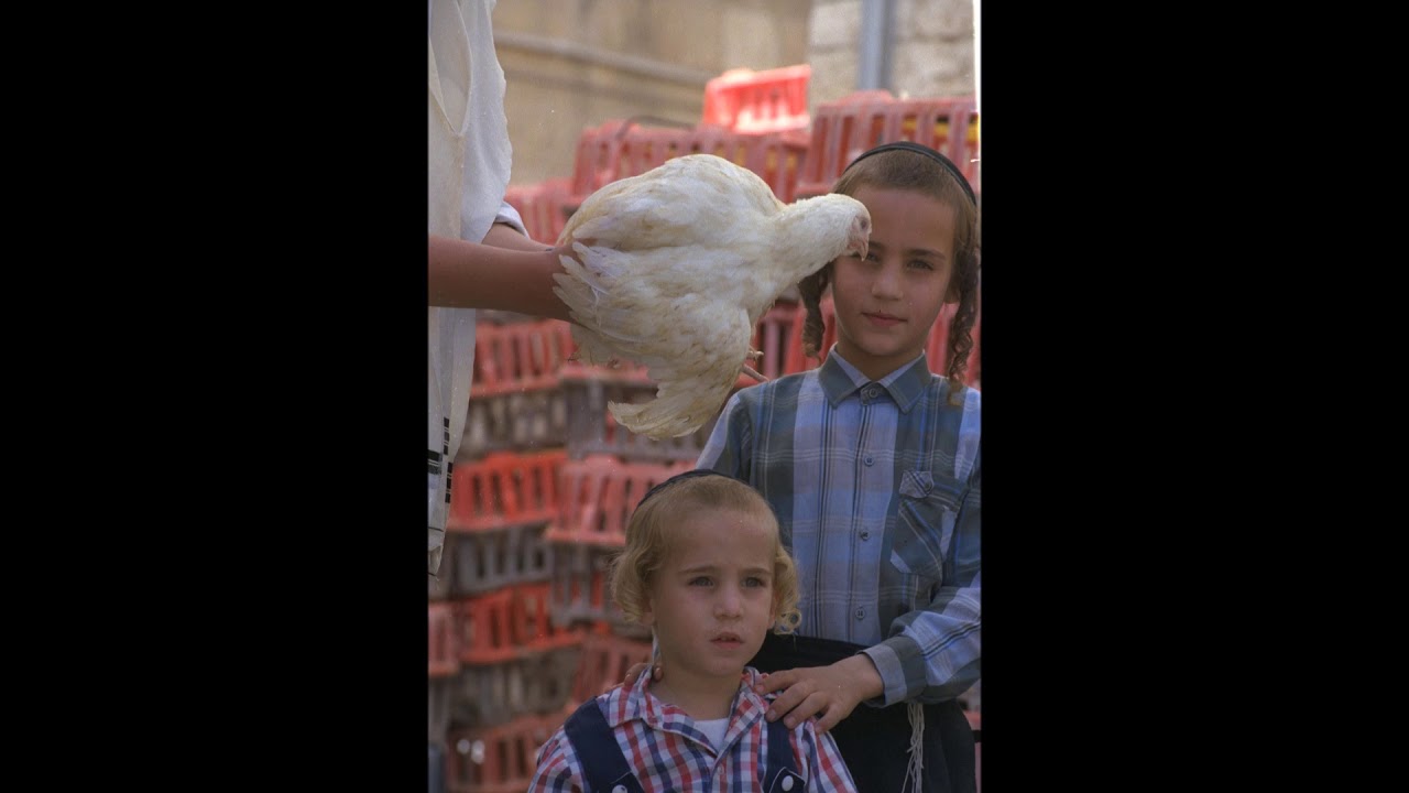 Inside Israel Today: The Case for Unity and the Ritual of Kaparot