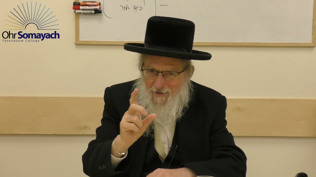 Q&A Mitzvah Preparation, Iyov, and Potential (Rabbi Dovid Gottleib - Jewish Philosophy)