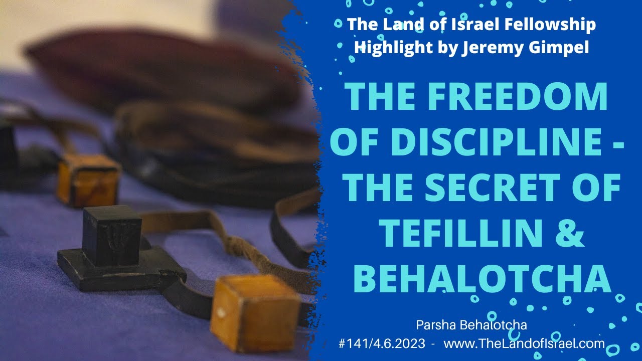 Freedom of Discipline - The Secret of Tefilin & Behalotcha -J. Gimpel: The Land of Israel Fellowship