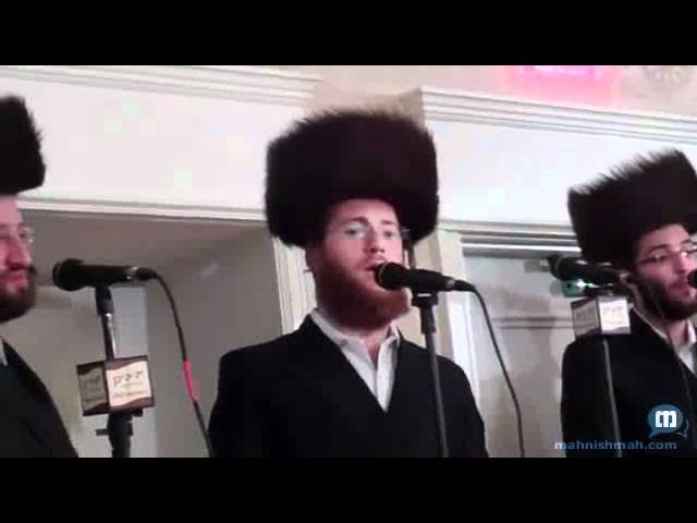 Ata Nigleisa - Chazzan Lemmer At Hatzolah Auction