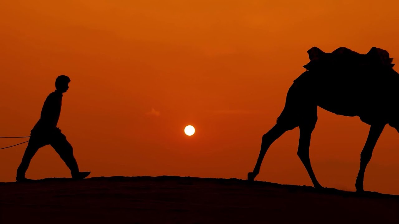 The Perfect Host - Parshat Vayera