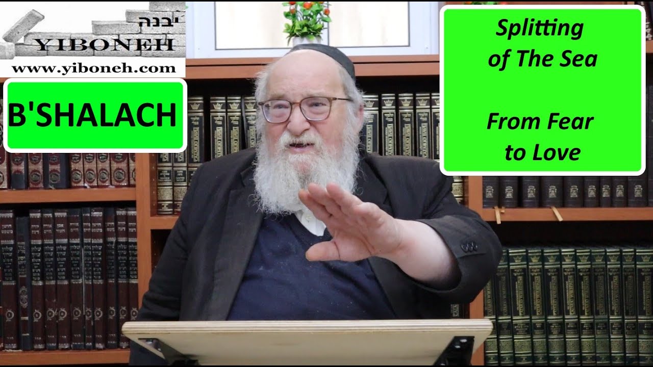 Rav Yitzchak Breitowitz: Splitting of The Sea - From Fear to Love