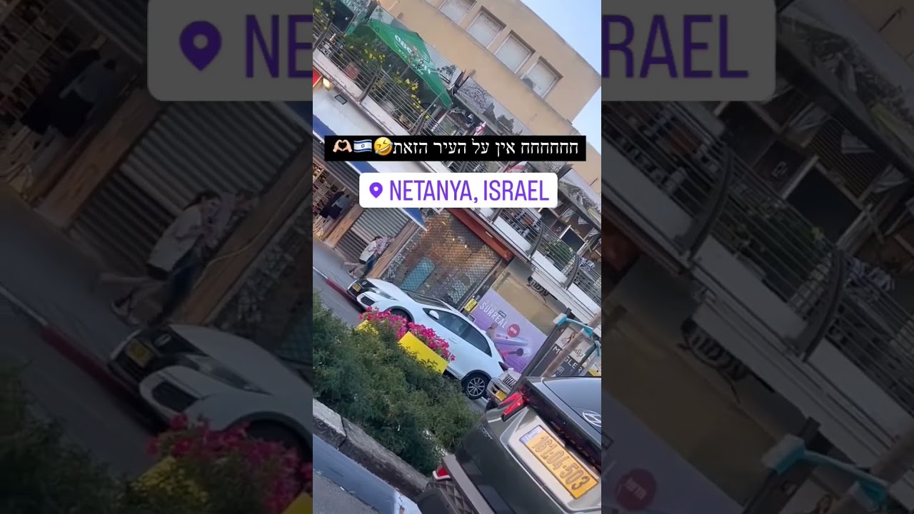 בכל פינה בארץ יודעים "כובשים את עזה" של דניאל סעדון