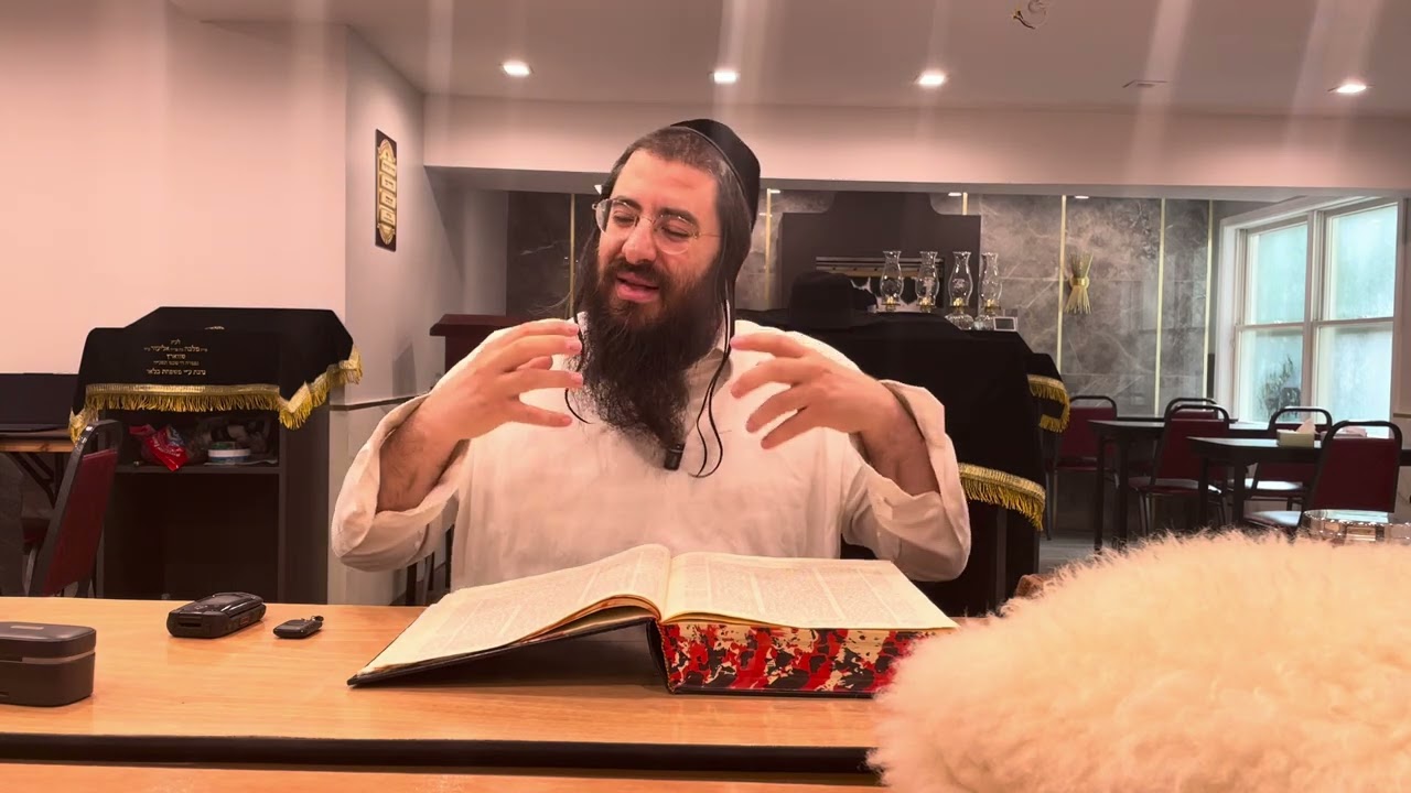 Bava Basra 15 Harav Chaim Ozer Geldzahler