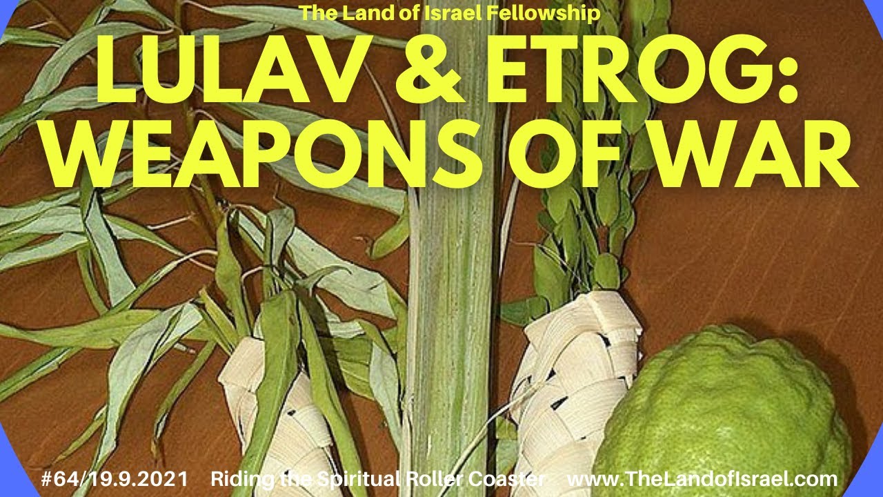 Lulav & Etrog: Weapons of War - Ari Abramowitz: The Land of Israel Fellowship