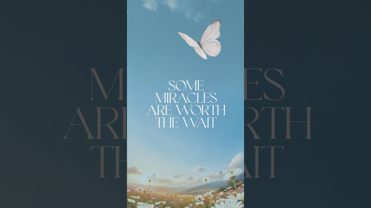 12.10.25 👀🦋 #jewishmusic #newmusic #comingsoon