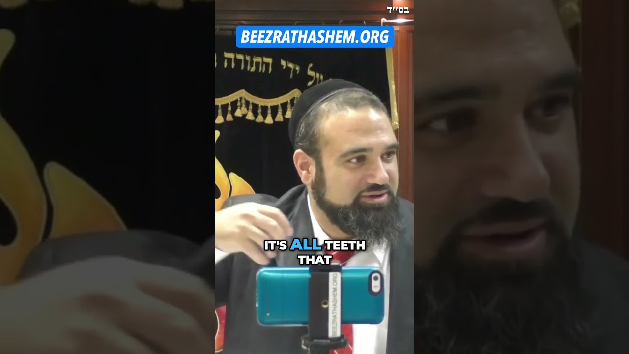 Everybody Needs To Do TeShuva