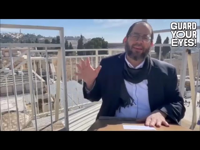 In Sight - Rabbi Yaakov Thaler